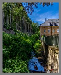 Mitten im Pf&auml;lzerwald